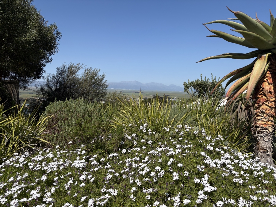 0 Bedroom Property for Sale in Piketberg Western Cape